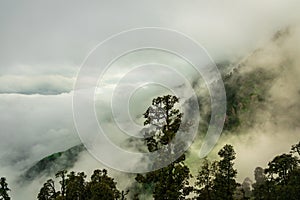 McLeod ganj