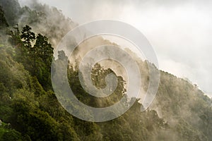 McLeod ganj, Himachal Pradesh