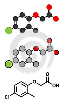 MCPA (2-methyl-4-chlorophenoxyacetic acid) herbicide molecule