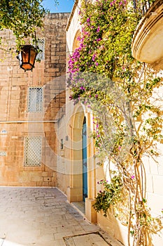 Mdina courtyard with fuchsiaflowers, malta