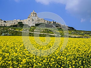 Mdina , Malta