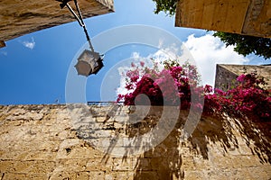 Mdina Old City