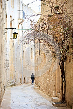 Mdina street