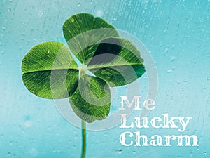 Me lucky charm- inspirational motivation quote