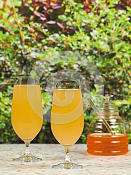 Mead IPM is a beer-style mead, made using honey, hops, yeast and water