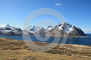 Meadow above Napp fjord