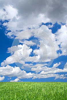 Meadow against summrer sky