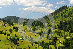 Meadow and animal shelters in bucovina mountains,romania