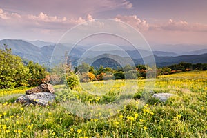 Meadow Appalachian Trail Western North Carolina