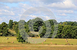 Meadow with bales of hay in rural countryside