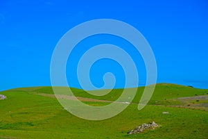 Meadow with beautiful blue sky background with copy space