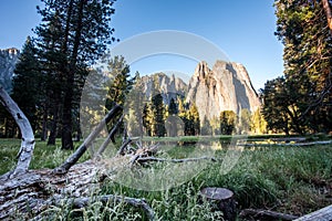 Meadow Below Cathedral Rocks