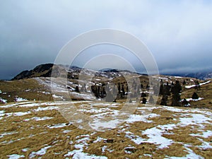 Meadow at Big Pature Plateau or Velika planina photo