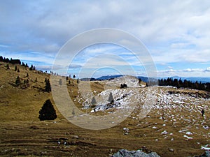 Meadow at Big Pature Plateau photo