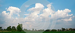 Meadow and blue skies clouds