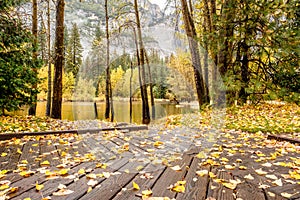 Meadow with boardwalk in Yosemite National Park Valley at autumn