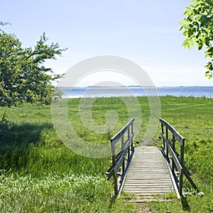 Meadow with bridge