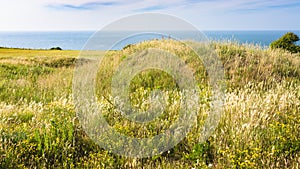 meadow on Cap Gris-Nez in France