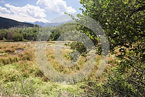 Meadow at Cascade Springs National Park