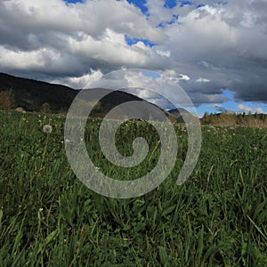 Meadow and cloudy sky in Pyrennes.