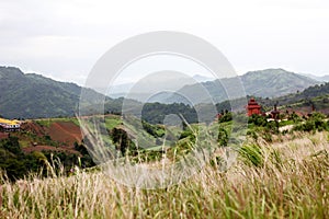 Meadow and contemporary temple scene