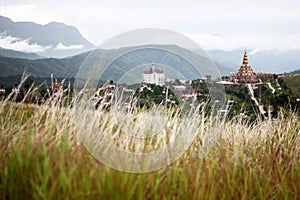 Meadow and contemporary temple scene