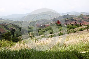 Meadow and contemporary temple scene