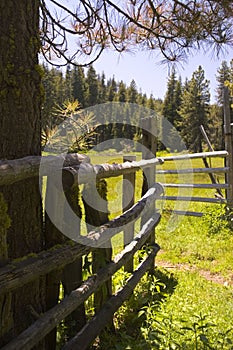 Meadow Corral