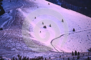 Zasnežená lúka, zimná krajina Fatra, Slovensko