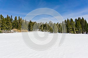 Meadow covered in untouched snow on the trail to San Jacinto mountain peak, San Jacinto State Park, California