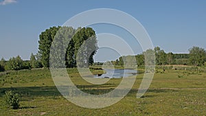 Meadow with creek andh trees  reflecting in the water in the Flemsh countryside