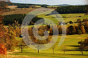 Meadow of Czech landscape