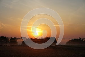 Meadow with dandelion with fog, early morning, sunrise