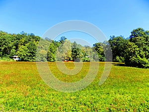 Meadow and deciduous forest