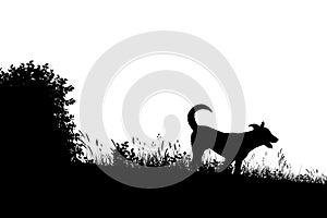 Meadow dog silhouette