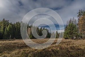 Meadow with dry grass after summer near Jezerni creek in autumn cloudy day