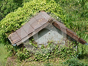 Allotments on the edge of the forest with nice garden house with brick cover 2