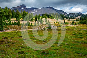 Meadow Expanse on the Broken Top Trail, Three Sisters Wilderness, Oregon photo