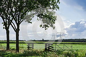 Meadow with fence, trees and high voltage tower in Alblasserwaard, The Netherlands