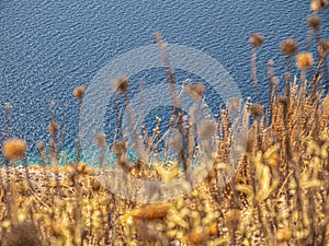 Meadow field with the sea behind.