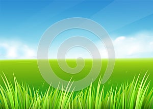 Meadow field. Summer or spring nature background with green grass landscape