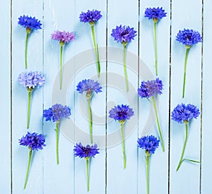 Meadow flowers cornflowers. Flat lay.