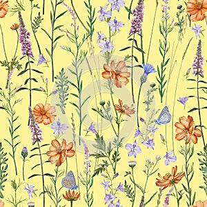 Meadow flowers and herbs seamless pattern. Yellow backhround