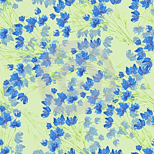 Meadow flowers painted in watercolor. Illustration for decoration.