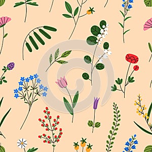 Meadow flowers pattern. Seamless floral background, blooming field plants. Repeating print, delicate spring, summer