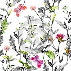 Meadow flowers. Seamless herbal background in black-white colors. Watercolor
