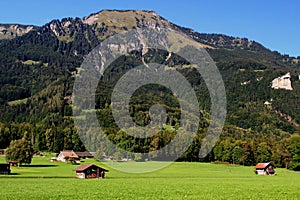 A meadow at the foot of the Swiss Alps with barns in the town of Ballenberg, near Brienz, Switzerland