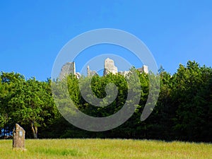 Meadow, forest and castle ruins