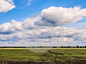 Meadow,  forest, clouds