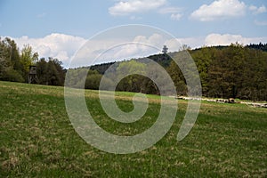 Meadow in the forest with hunting perch and lookout tower on the horizon